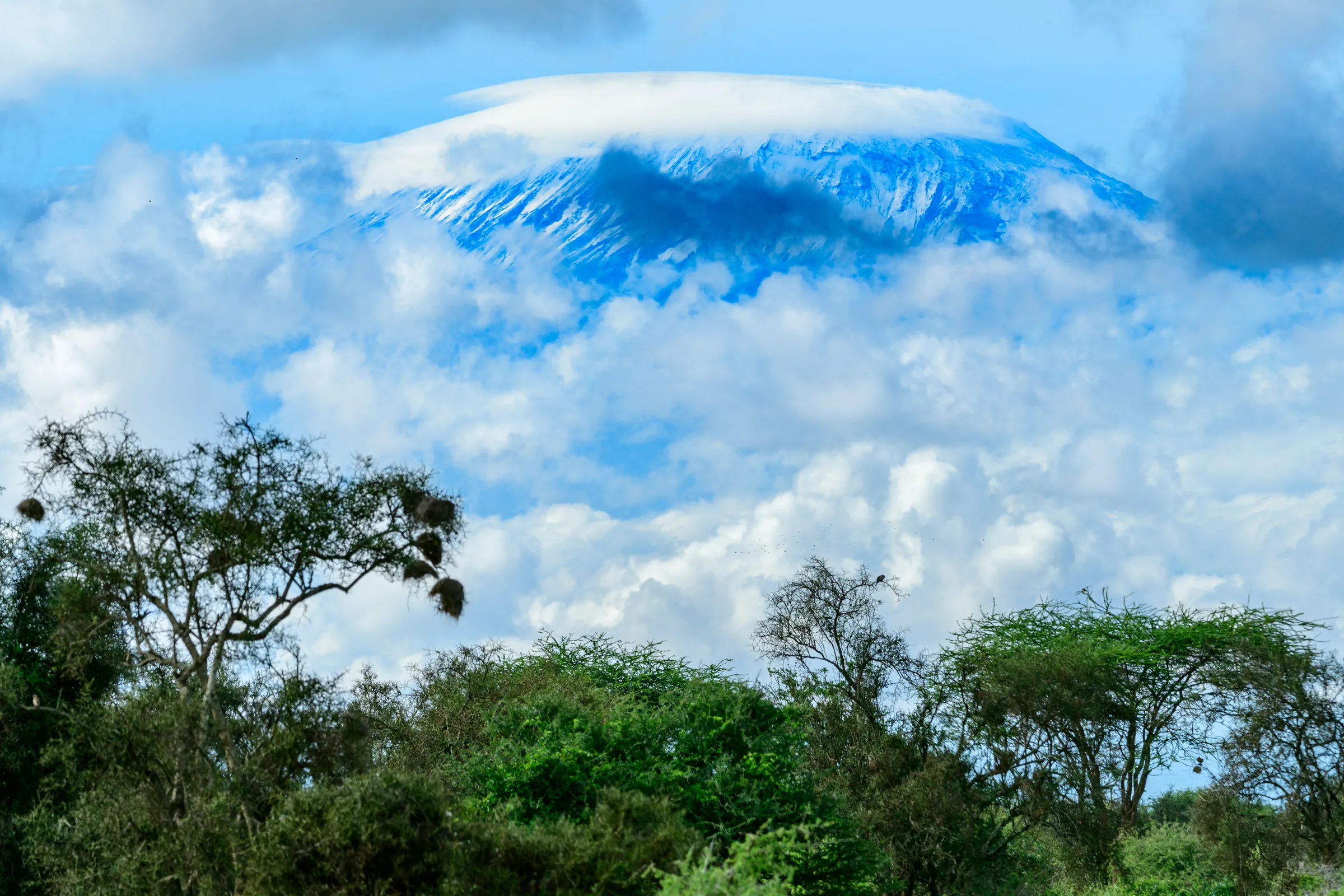 Kilimanjaro med moln